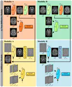 Unsupervised Medical Image Translation with Adversarial Diffusion Models