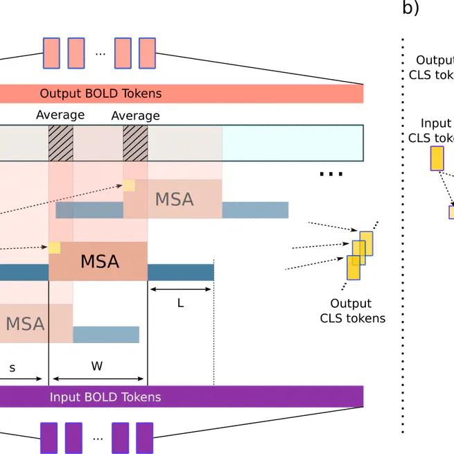 BolT: Fused Window Transformers for fMRI Time Series Analysis